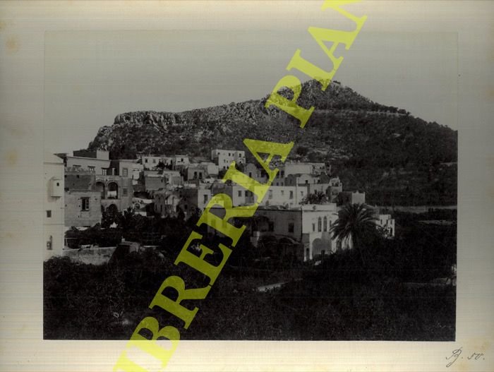Capri. Hotel Pagano. Palma.