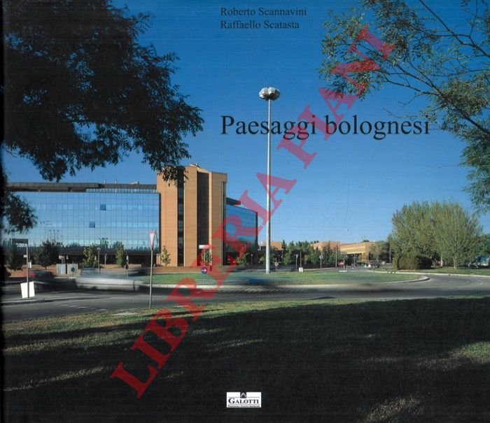 Car Corporate Image: Project in Miami . | Immagine Gallery 3