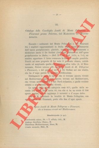 Catalogo delle conchiglie fossili di Monte Pellegrino e Ficarazzi, presso …