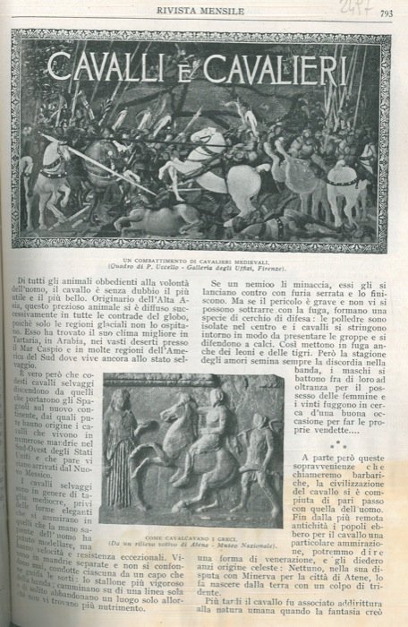 Cavalli e cavalieri.