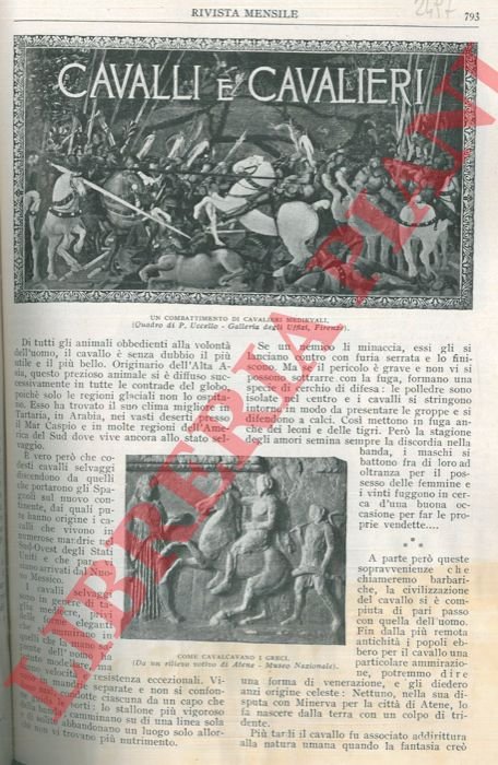 Cavalli e cavalieri.