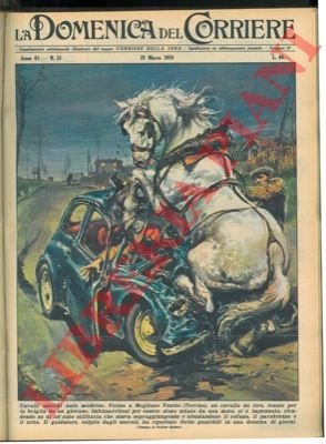 Cavallo da tiro imbizzarrito si impenna, ricadendo su di un'auto …