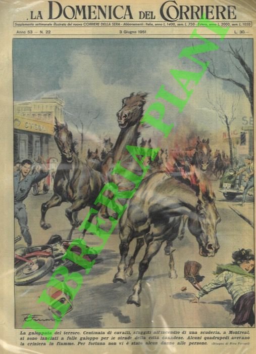 Centinaia di cavalli, sfuggiti all'incendio di una scuderia, si sono …