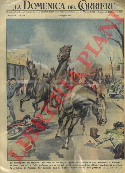 Centinaia di cavalli, sfuggiti all'incendio di una scuderia, si sono …