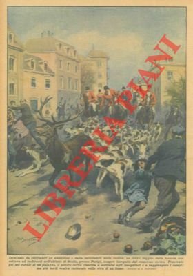 Cervo fuggito dalla foresta entra nell'abitato di Senlis (Parigi) inseguito …