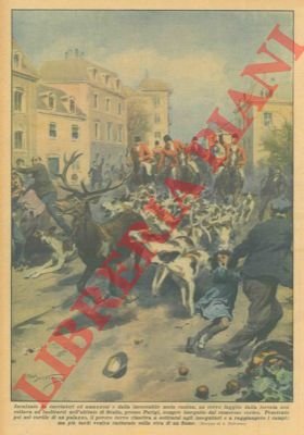 Cervo fuggito dalla foresta entra nell'abitato di Senlis (Parigi) inseguito …