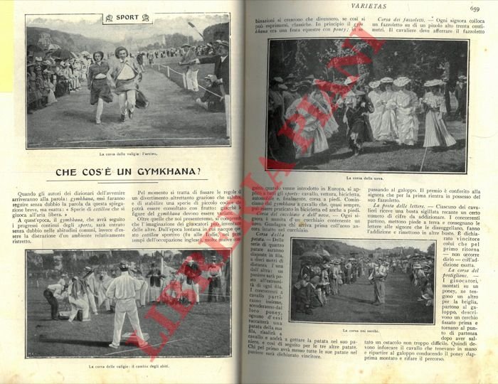 Che cos'è un gymkhana?