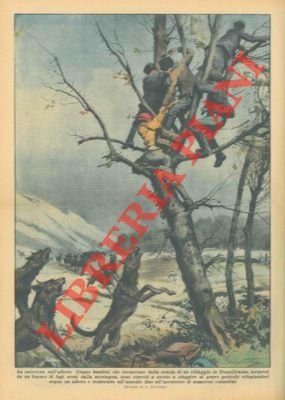 Cinque bambini di ritorno da scuola, sorpresi da un branco …