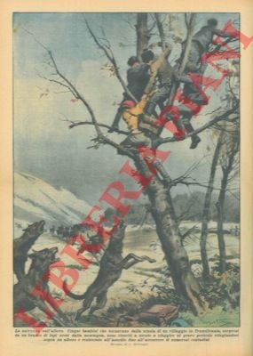 Cinque bambini di ritorno da scuola, sorpresi da un branco …