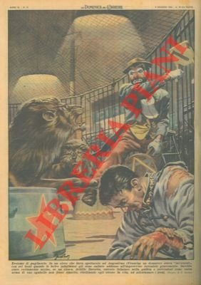 Clown salva la vita a un domatore aggredito da sei …