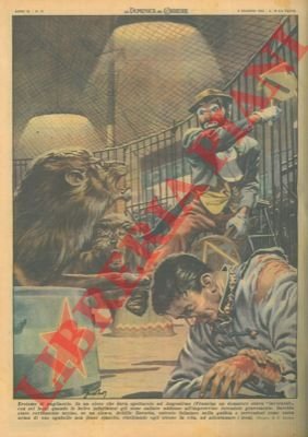 Clown salva la vita a un domatore aggredito da sei …