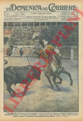 Combattimenti, a Madrid, nella corrida allestita per raccogliere fondi per …