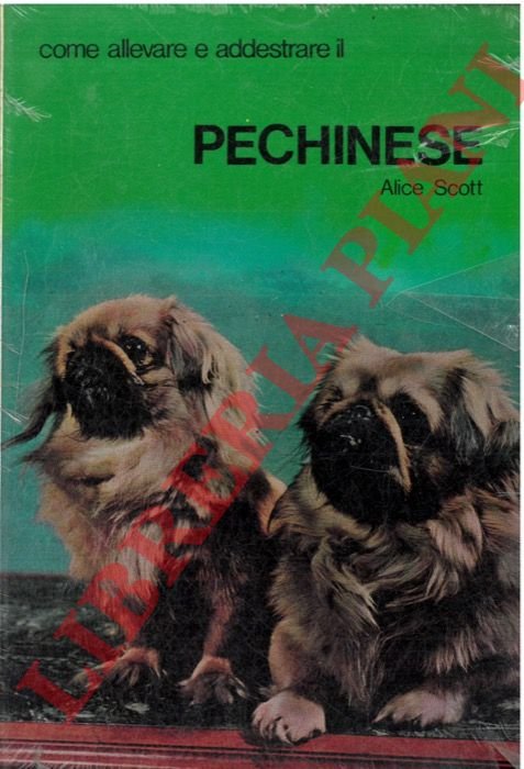 Come allevare e addestrare il Pechinese.