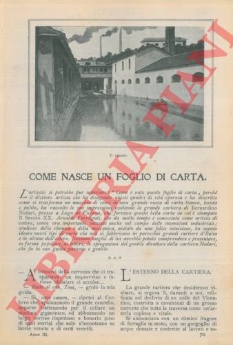Come nasce un foglio di carta. | Immagine Gallery 3