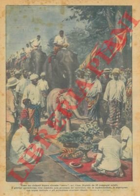 Come un elefante bianco diventa "sacro", nel Siam.