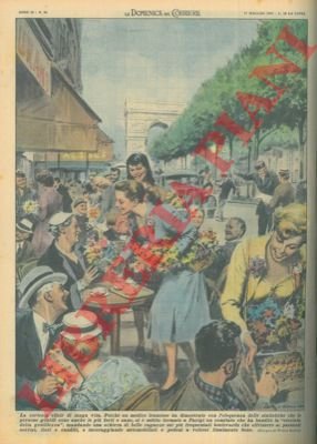 Comitato bandiva la "crociata della gentilezza", mandando belle ragazze che …