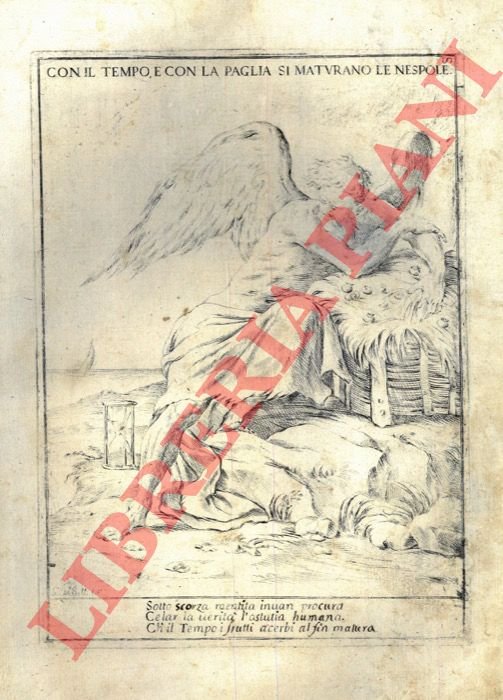 Con il tempo e con la paglia si maturano le …