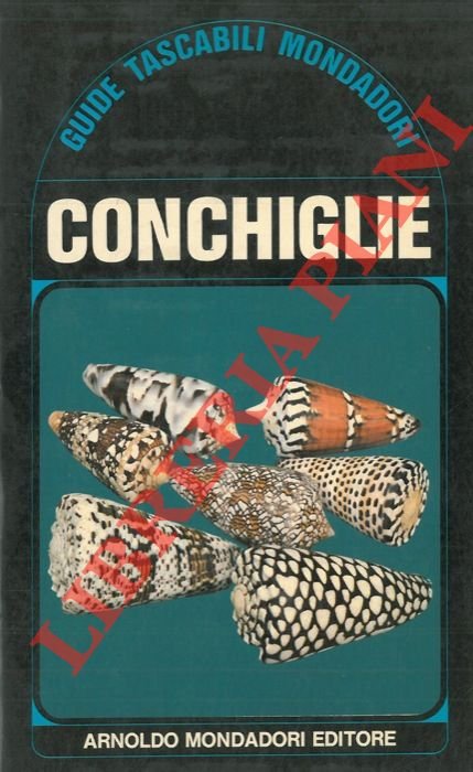 Conchiglie.