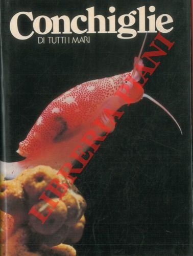Conchiglie di tutti i mari.