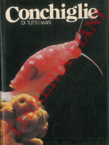 Conchiglie di tutti i mari.