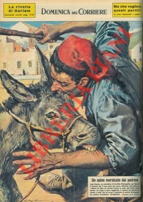 Contadino, per liberare il braccio che il suo asino gli …