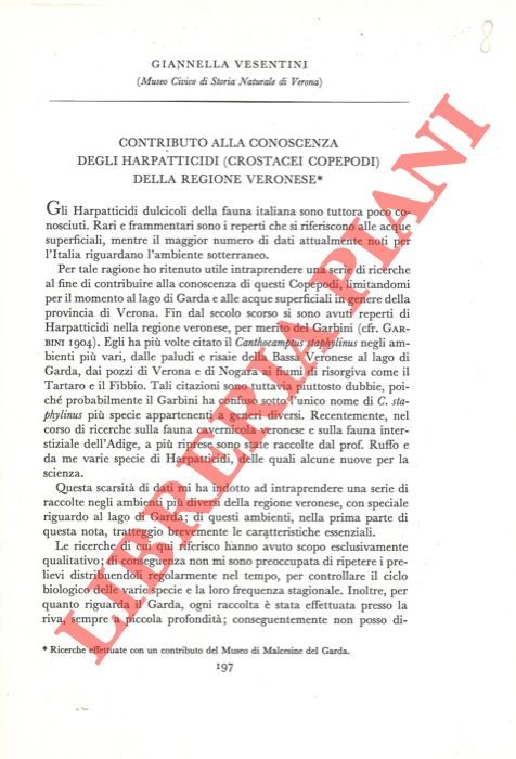 Contributo alla conoscenza degli Harapatticidi (Crostacei Copepodi) della regione veronese. | Immagine Gallery 2