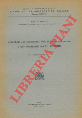 Contributo alla conoscenza dello sviluppo embrionale e post-embrionale nei Murenoidi. …