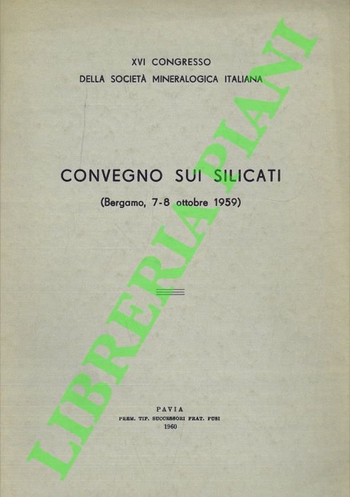 Convegno sui silicati.