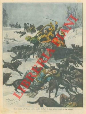 Corteo nuziale aggredito dai lupi (in Russia) le donne vengono …