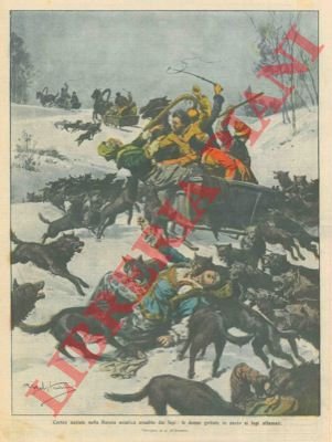 Corteo nuziale aggredito dai lupi (in Russia) le donne vengono …