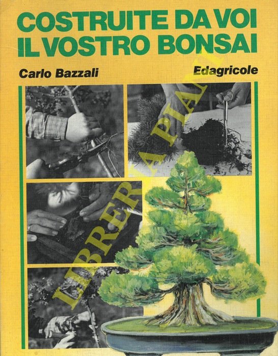 Costruite da voi il vostro bonsai.