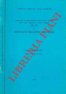 Crostacei Decapodi lagunari.