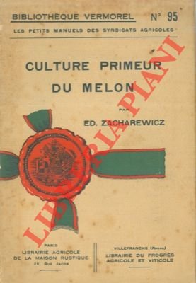 Culture primeur du melon.