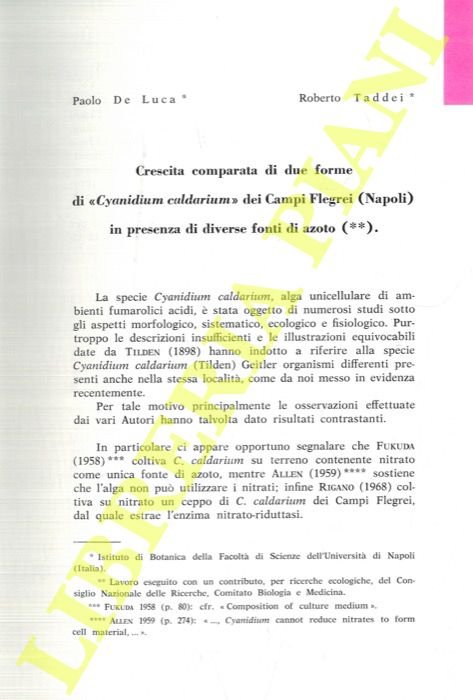 Cyanidium caldarium. I. Crescita comparata di due forme di «Cyanidium …