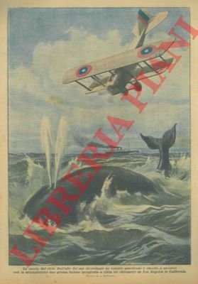 Dall'alto del suo aeroplano un tenente americano è riuscito a …