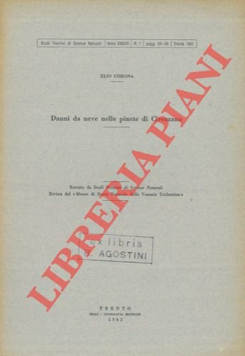 Danni da neve nelle pinete di Civezzano.