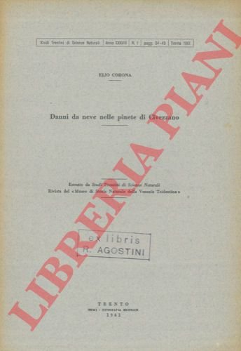 Danni da neve nelle pinete di Civezzano.