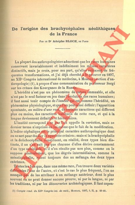 De l'origine des barchycéphales néolithiques de la France.