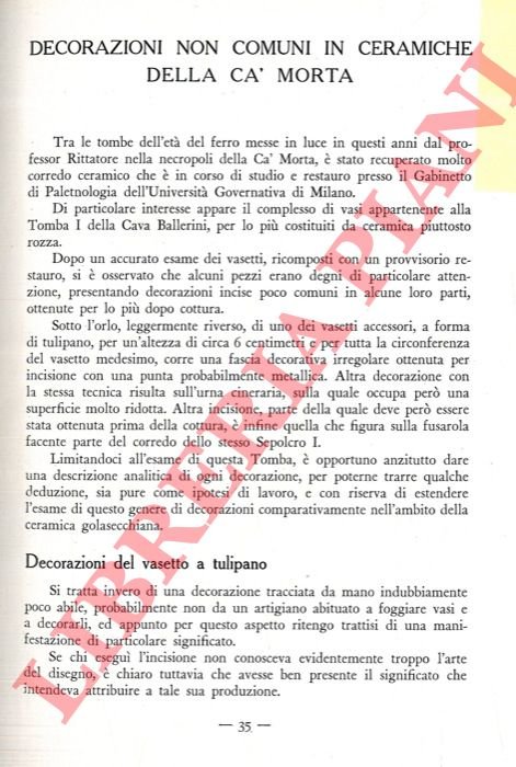 Decorazioni non comuni in ceramiche della Ca' Morta.