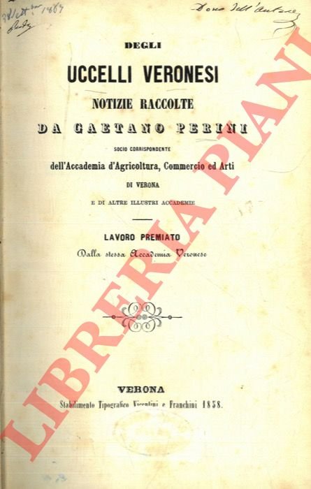 Degli uccelli veronesi. | Immagine Gallery 3