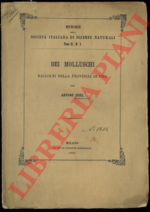 Dei molluschi raccolti nella provincia di Pisa.
