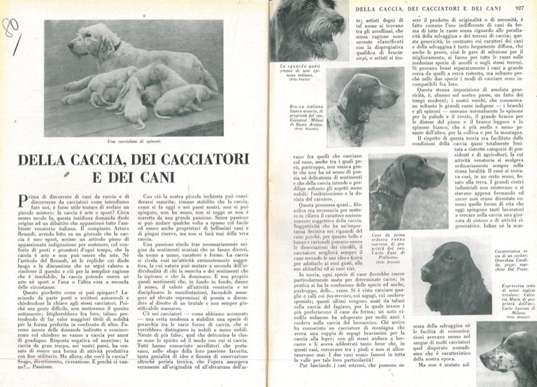 Della caccia dei cacciatori e dei cani.