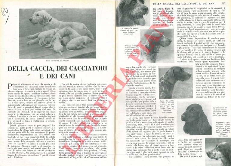 Della caccia dei cacciatori e dei cani.