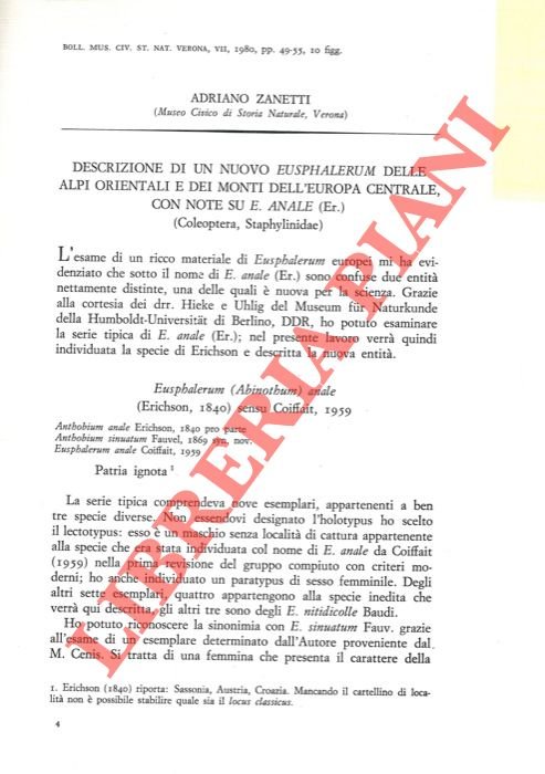 Descrizione di un nuovo Eusphalerum delle Alpi Orientali e dei …
