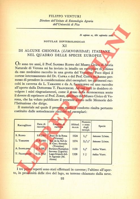 Di alcune Chionea (Limnobiidae) italiane nel quadro delle specie europee.