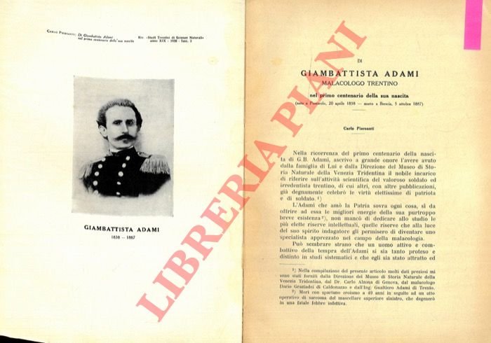 Di Giambattista Adami malacologo trentino nel primo centenario della sua …