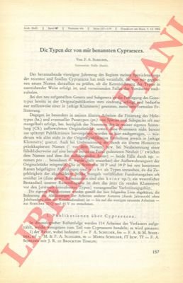 Die Typen der von mir benannten Cypraeacea.