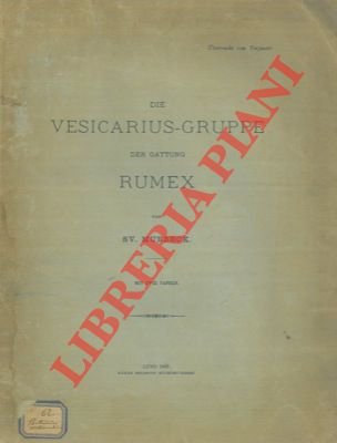 Die Vesicarius-Gruppe der Gattung Rumex.