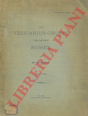 Die Vesicarius-Gruppe der Gattung Rumex.