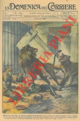 Domatore viene assalito da un leone mentre cerca di accudire …